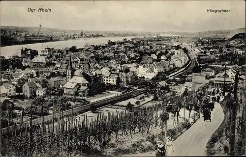 Ak Königswinter am Rhein, Panorama mit Rhein