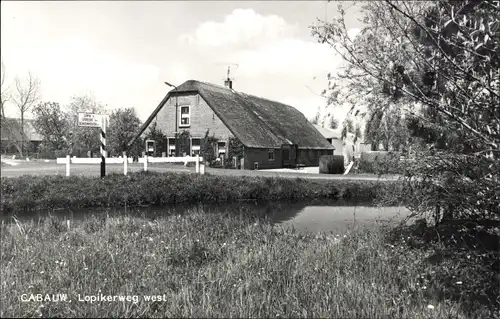 Ak Cabauw Utrecht Niederlande, Lopikerweg west