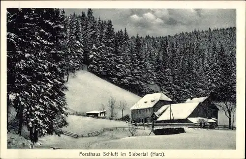 Ak St. Andreasberg Braunlage im Harz, Forsthaus Schluft im Siebertal, Winter