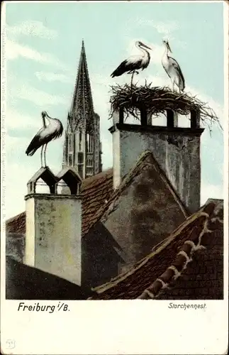 Ak Freiburg im Breisgau, Storchennest, Kirchturm