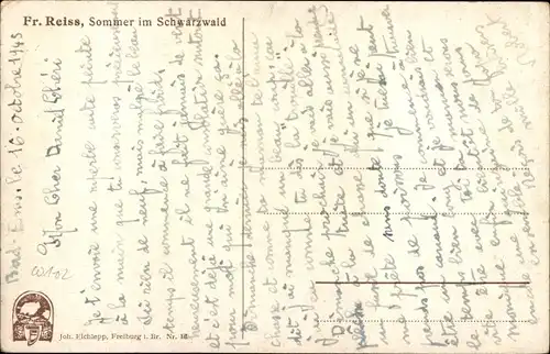 Künstler Ak Fr. Reiss, Sommer im Schwarzwald