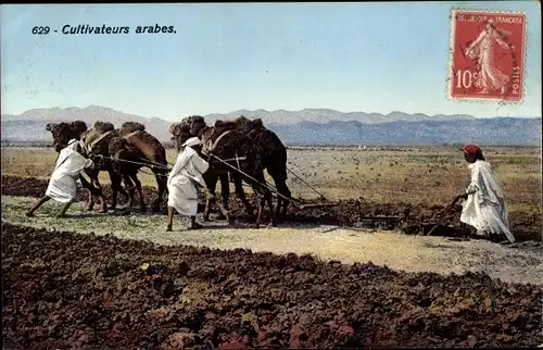 Ak Tunesien, Cultivateurs arabes