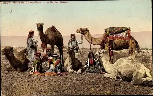 Ak Halte de Chameliers, A Camel Driver, Kamel Fahrer in der Wüste