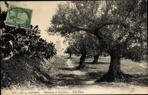 Ak Djerba Midoun Tunesien, Oliviers et Figuiers