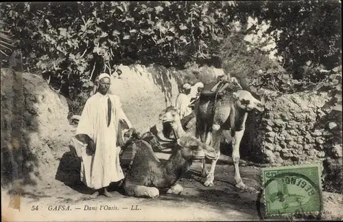 Ak Gafsa Tunesien, Dans l'Oasis