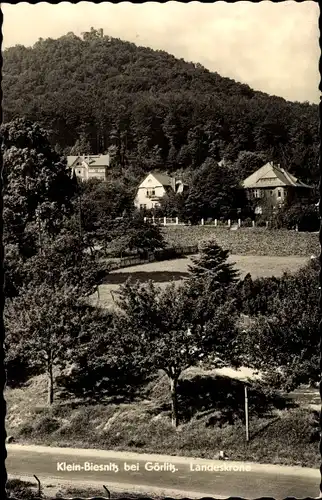 Ak Klein Biesnitz Görlitz in der Lausitz, Blick zur Landeskrone, Wald