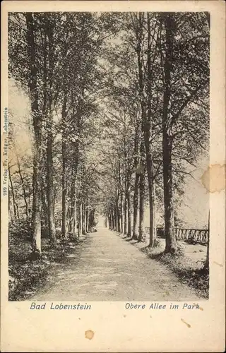 Ak Bad Lobenstein in Thüringen, Obere Allee im Park