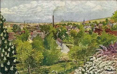 Künstler Ak Steinpleis Werdau in Sachsen, Gesamtansicht