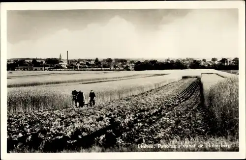 Ak Holten Overijssel Niederlande, Panorama vanaf der Holterberg