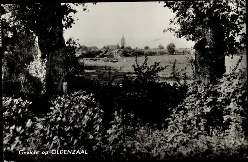 Ak Oldenzaal Overijssel, Blick aus der Ferne