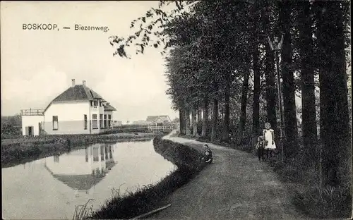 Ak Boskoop Alphen aan den Rijn Südholland Niederlande, Biezenweg