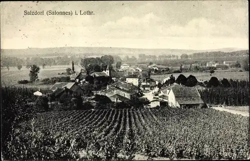 Ak Salonnes Salzdorf Moselle, Panorama