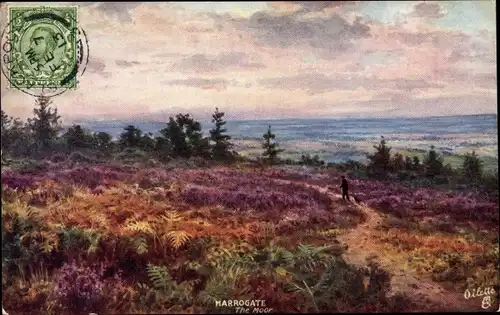 Künstler Ak Harrogate Yorkshire England, The Moor