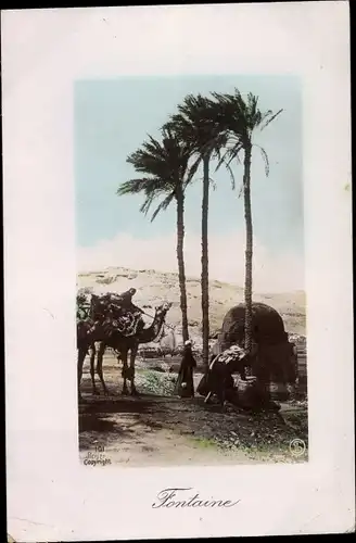 Ak Fontaine, Palmen, Kamel, Maghreb