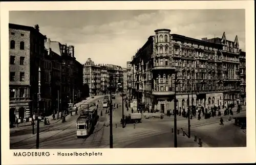 Ak Magdeburg an der Elbe, Hasselbachplatz, Straßenbahn