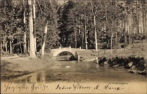 Ak Dresden Loschwitz, Dresdner Heide, im Prießnitzgrund, Brücke, Fluss