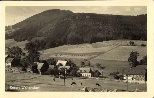 Ak Waltersdorf Großschönau Oberlausitz, Lausche und Gaststätte, Panorama