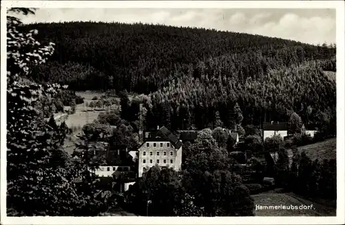 Ak Hammerleubsdorf Leubsdorf Sachsen, Sommerfrische, Haus, Wald, Vogelschau