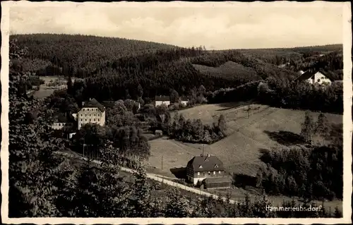 Ak Hammerleubsdorf Leubsdorf in Sachsen, Panorama