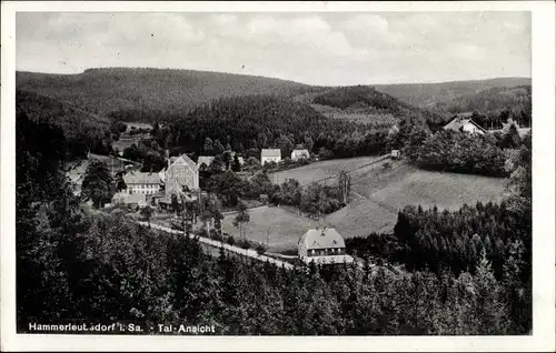 Ak Hammerleubsdorf Leubsdorf in Sachsen, Tal-Ansicht