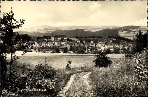 Ak Grünhainichen im Erzgebirge, Panorama vom Ort und Umgebung