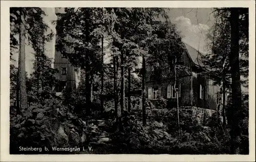 Ak Wernesgrün Steinberg im Vogtland, Teilansicht