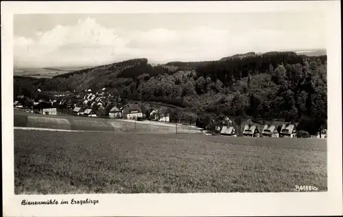 Ak Rechenberg Bienenmühle Erzgebirge, Panorama