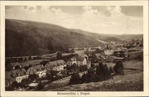 Ak Rechenberg Bienenmühle Erzgebirge, Panorama