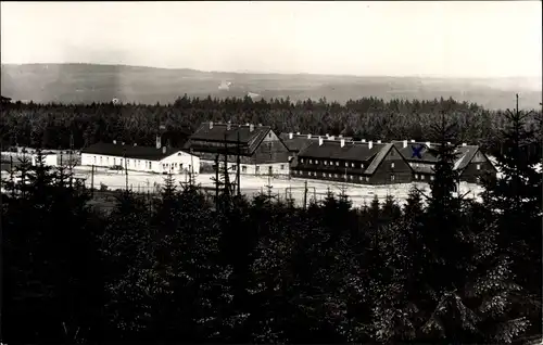 Ak Tannenbergsthal Muldenhammer im Vogtland, Ferien- und Schullandheime am Schneckenstein, Wald