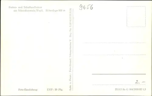 Ak Tannenbergsthal Muldenhammer im Vogtland, Ferien- und Schullandheime am Schneckenstein, Wald