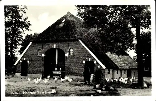 Ak Holten Overijssel Niederlande, Holtense Boerderij