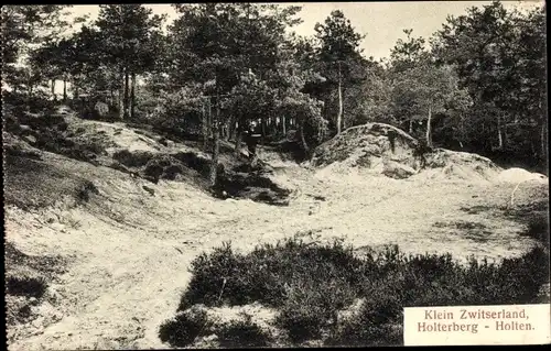 Ak Holterberg Holten Overijssel Niederlande, Klein Zwitserland