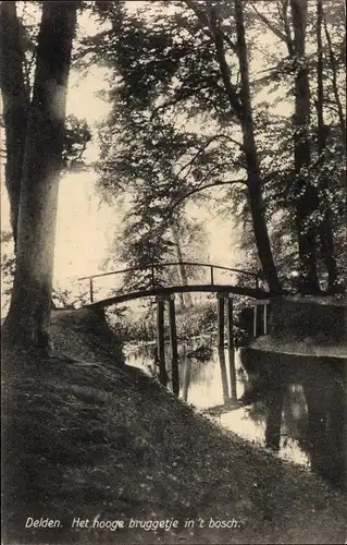 Ak Delden Hof van Twente Overijssel Niederlande, Het hooge bruggetje in 't bosch