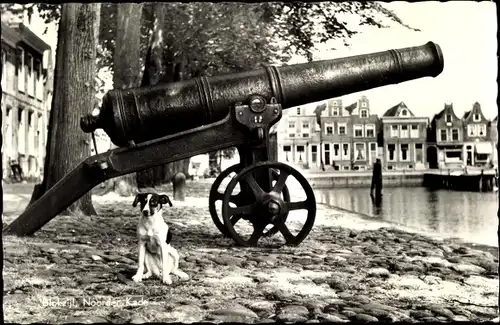 Ak Blokzijl Overijssel Niederlande, Noorderkade, Kanone, Hund