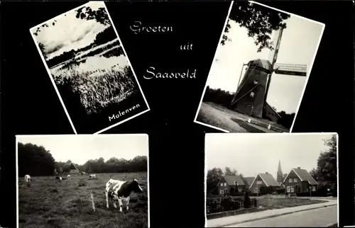 Ak Saasveld Twente Overijssel, Windmühle, Straßenpartie, Molenven