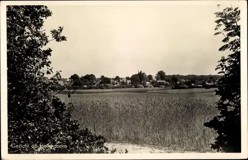 Ak Hellendoorn Overijssel, Blick aus der Ferne