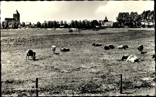 Ak Dalfsen Overijssel, Bungalowbedrijf Het Sterrenbos, Ortsansicht, Kirche, Kuhweide