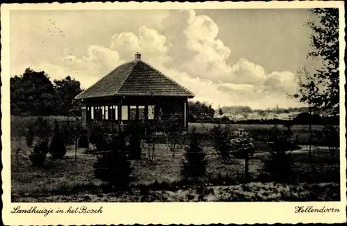 Ak Hellendoorn Overijssel, Landhuisje in het Bosch