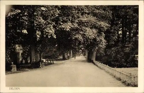 Ak Delden Hof van Twente Overijssel Niederlande, Allee, Straßenpartie