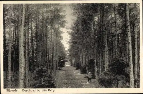 Ak Nijverdal Overijssel Niederlande, Boschpad op den Berg