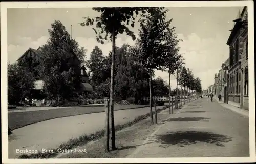 Ak Boskoop Alphen aan den Rijn Südholland Niederlande, Burg Colijnstraat