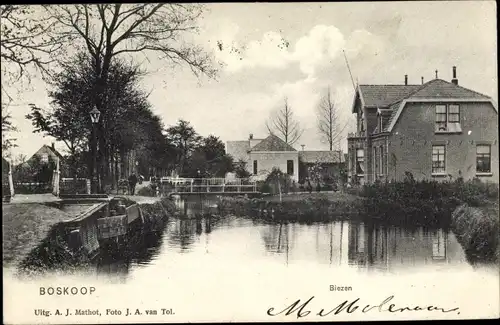 Ak Boskoop Alphen aan den Rijn Südholland Niederlande, Biezen