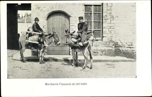Ak Flandern, Marchands Flamands de Lait Battu, Verkäufer von geschlagener Milch, Esel