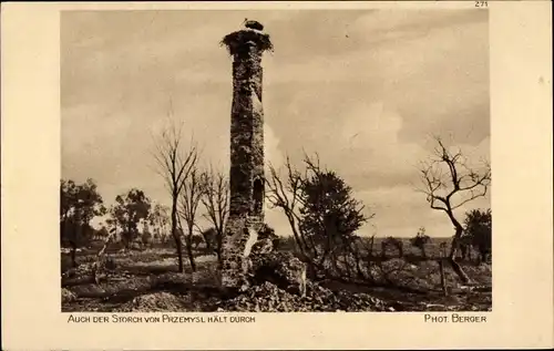 Ak Przemyśl Polen, Storch im Nest auf dem Schornstein von einem zerstörten Haus, Kriegszerstörungen