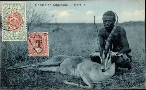 Ak Äthiopien, Chasse en Abyssinie, Gazelle