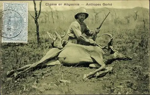 Ak Äthiopien, Chasse en Abyssinie, Antilopes Gorke