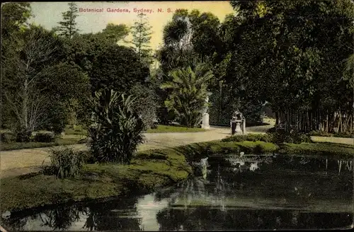 Ak Sydney Australien, Botanical Gardens