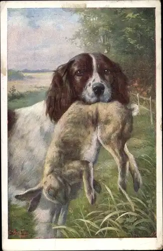 Künstler Ak Jagdhund mit Beute, Hase