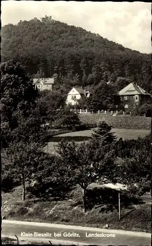 Ak Klein Biesnitz Görlitz in der Lausitz, Blick zur Landeskrone, Wald