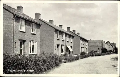 Ak Montfoort Utrecht Niederlande, Boslaan